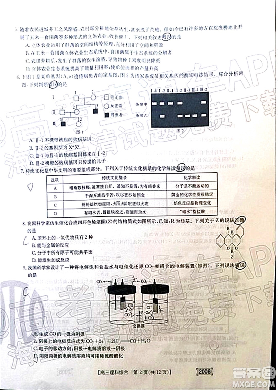 2022屆西南四省金太陽高三11月聯(lián)考理科綜合試題及答案