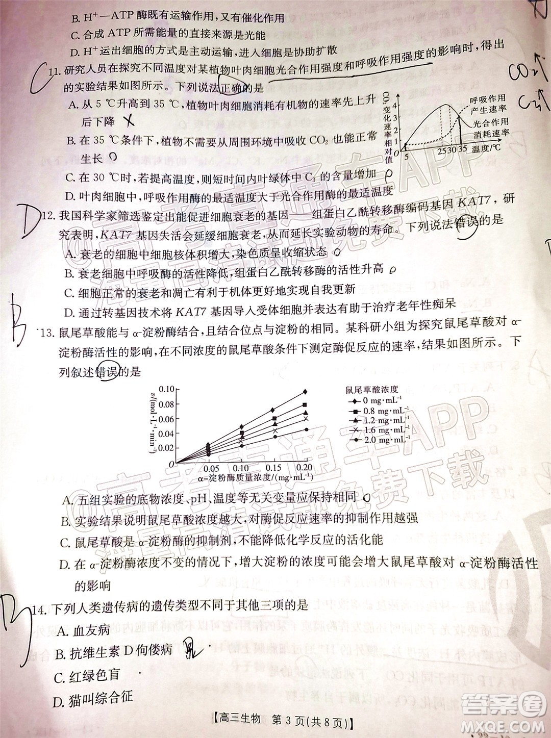 2022屆吉林金太陽(yáng)三十六校高三11月聯(lián)考生物試題及答案