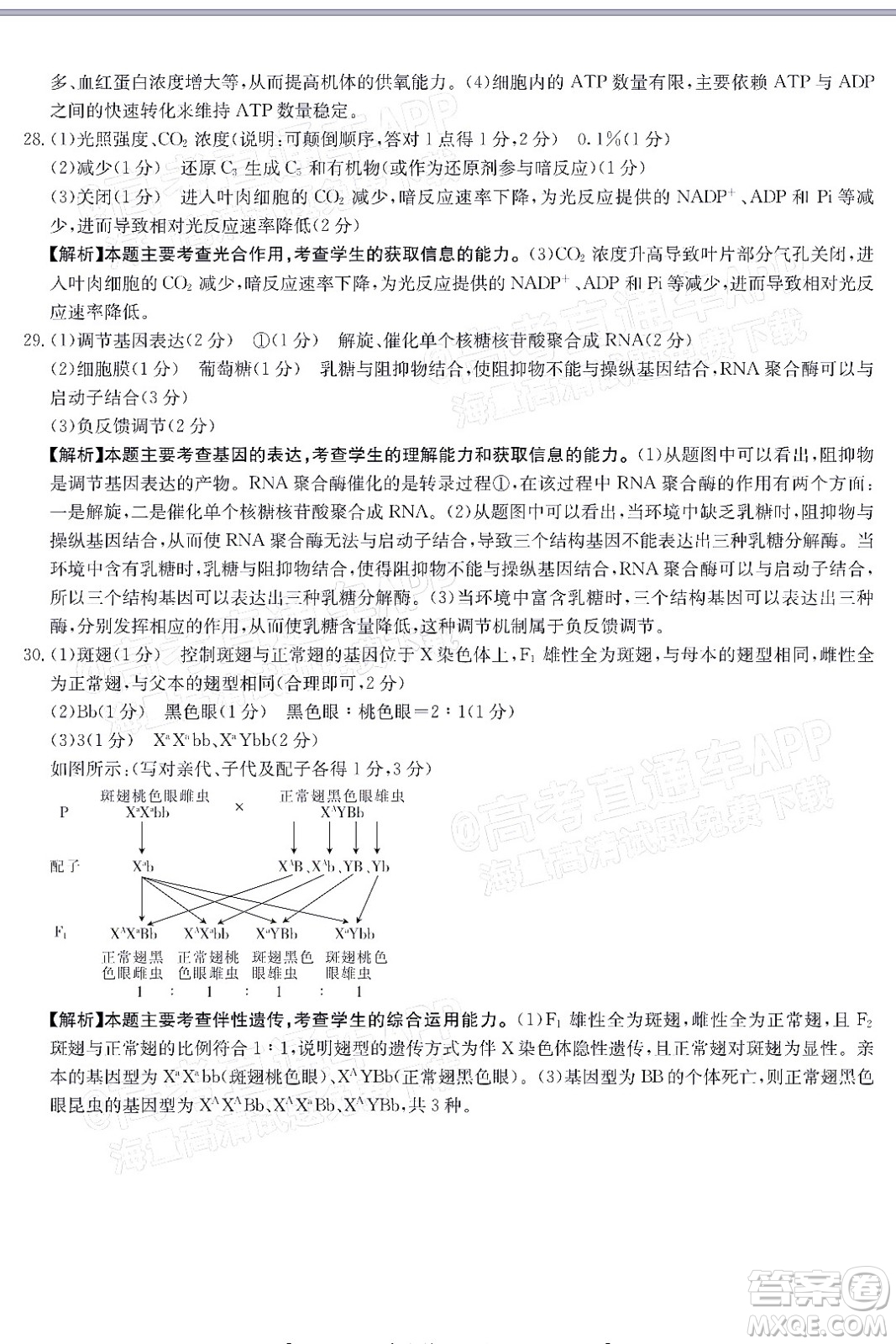 2022屆吉林金太陽(yáng)三十六校高三11月聯(lián)考生物試題及答案