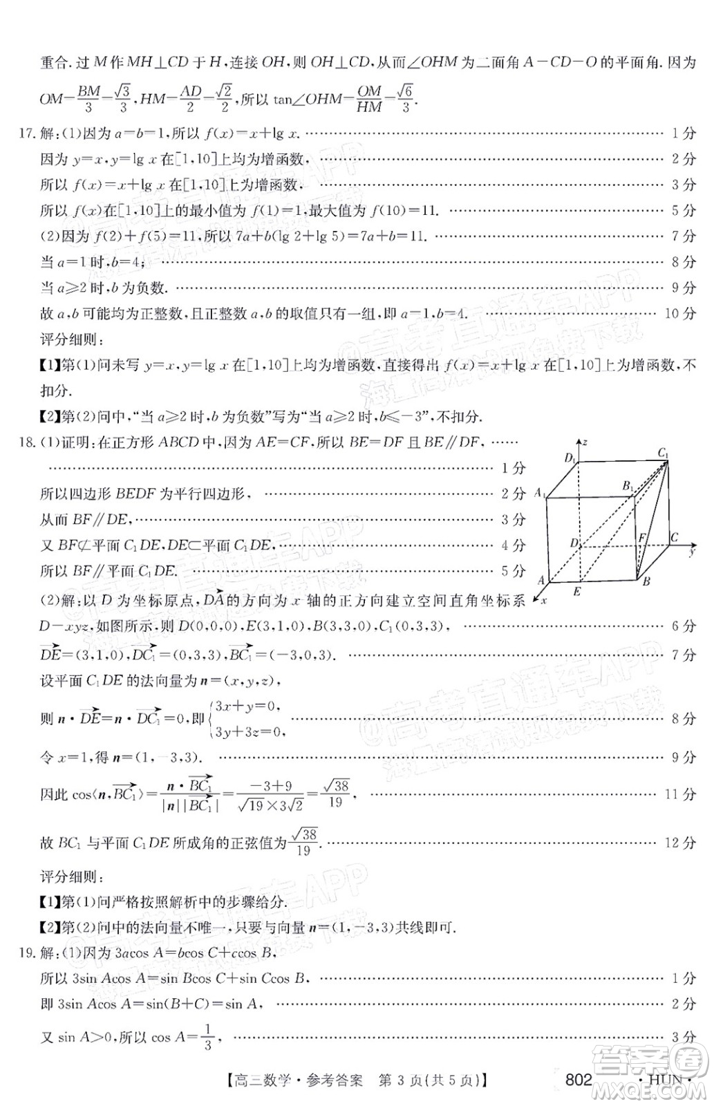 2022屆湖南金太陽高三11月聯(lián)考數(shù)學試題及答案