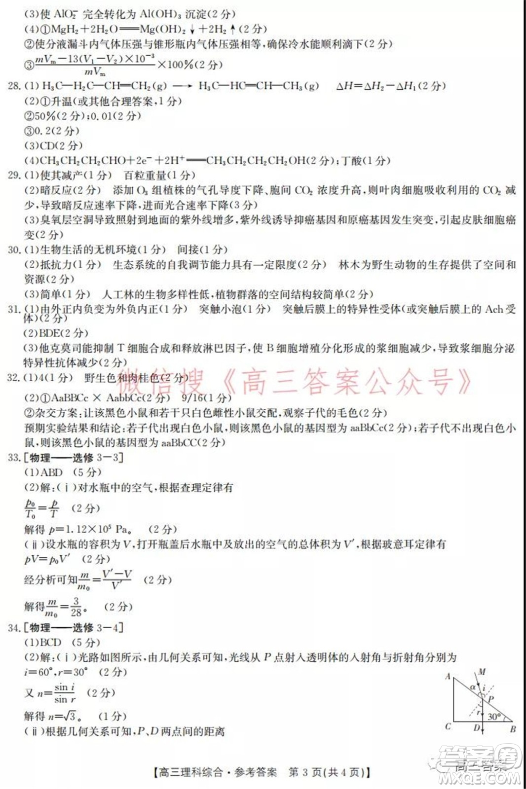 2022屆新鄉(xiāng)市高三第一次模擬考試?yán)砜凭C合試題及答案