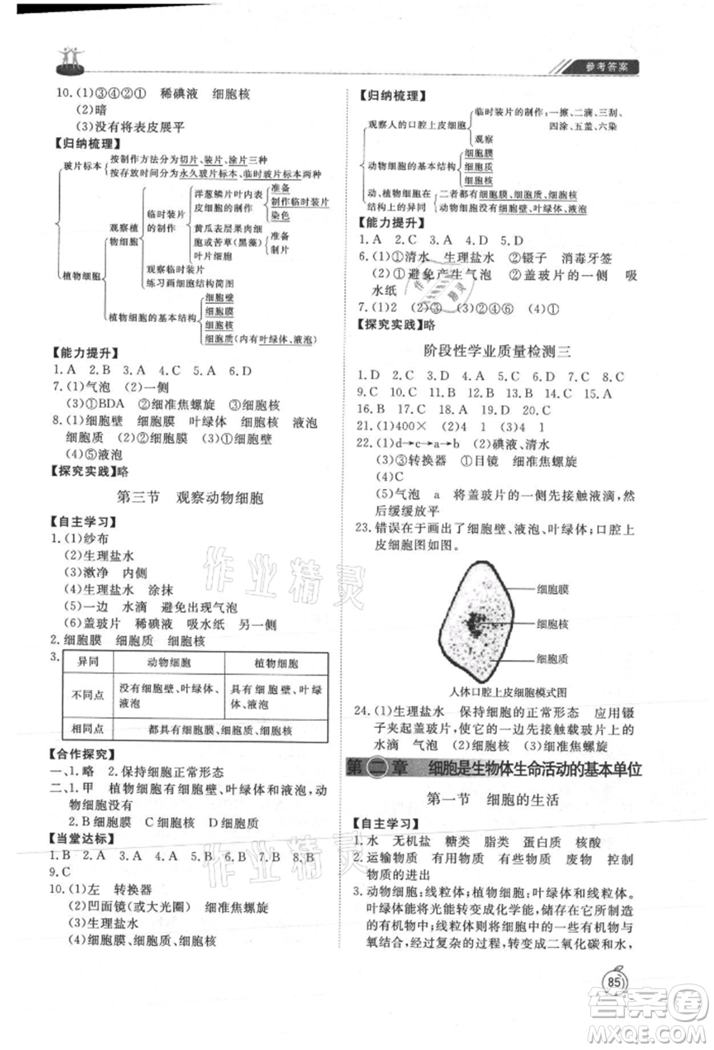 山東友誼出版社2021初中同步練習(xí)冊(cè)五四制六年級(jí)生物上冊(cè)魯科版參考答案