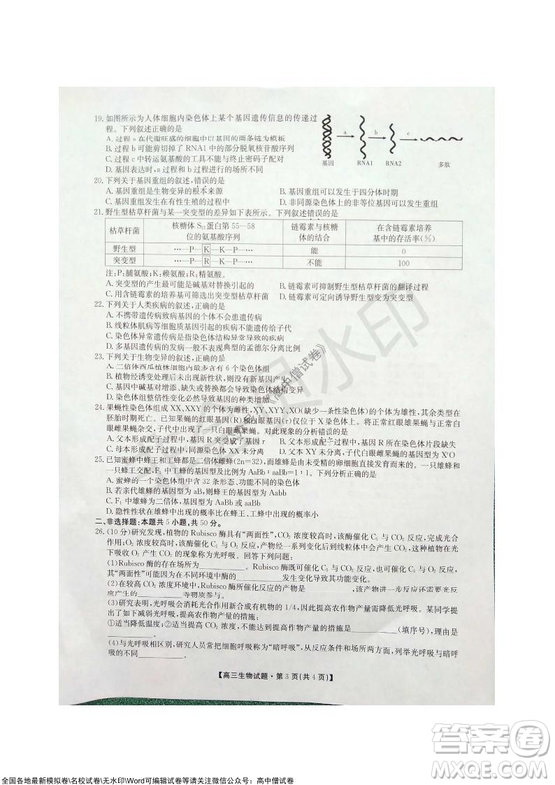 陜西安康2021-2022學(xué)年第一學(xué)期高三年級11月階段性考試生物試題及答案