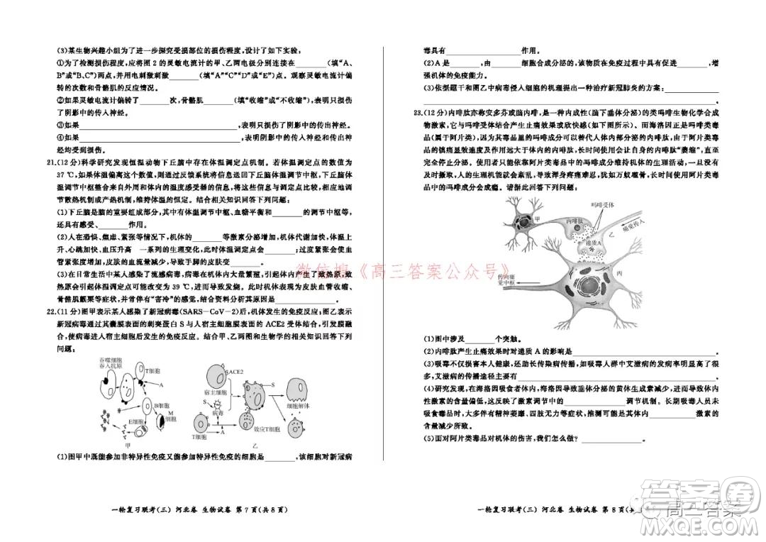 百師聯(lián)盟2022屆高三一輪復(fù)習(xí)聯(lián)考三河北卷生物試題及答案