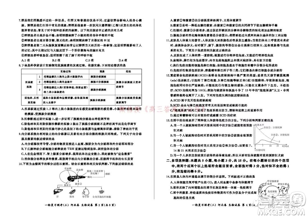 百師聯(lián)盟2022屆高三一輪復(fù)習(xí)聯(lián)考三河北卷生物試題及答案