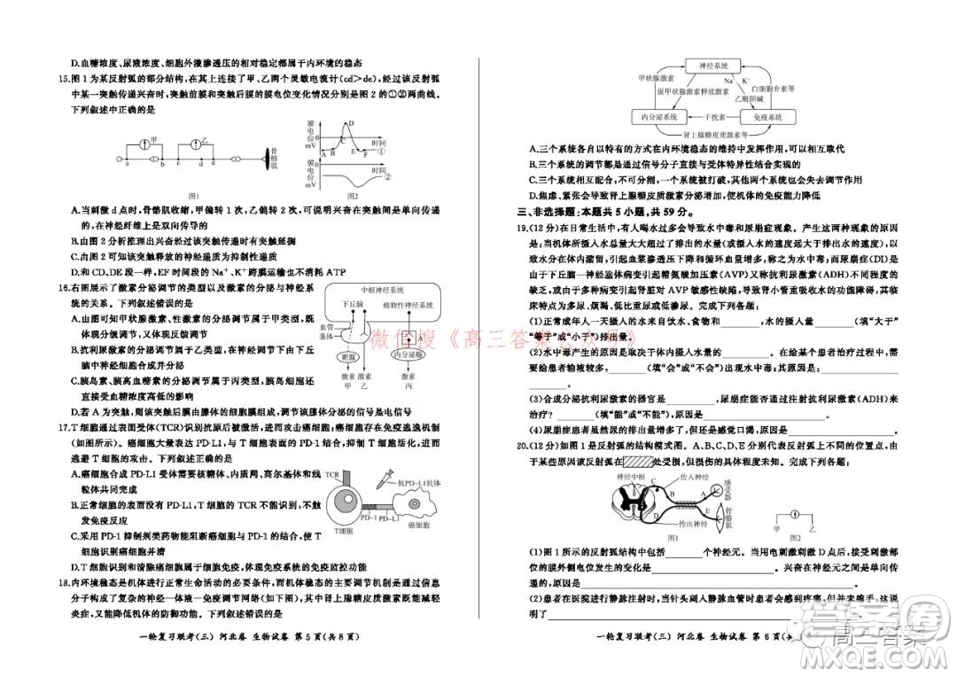 百師聯(lián)盟2022屆高三一輪復(fù)習(xí)聯(lián)考三河北卷生物試題及答案