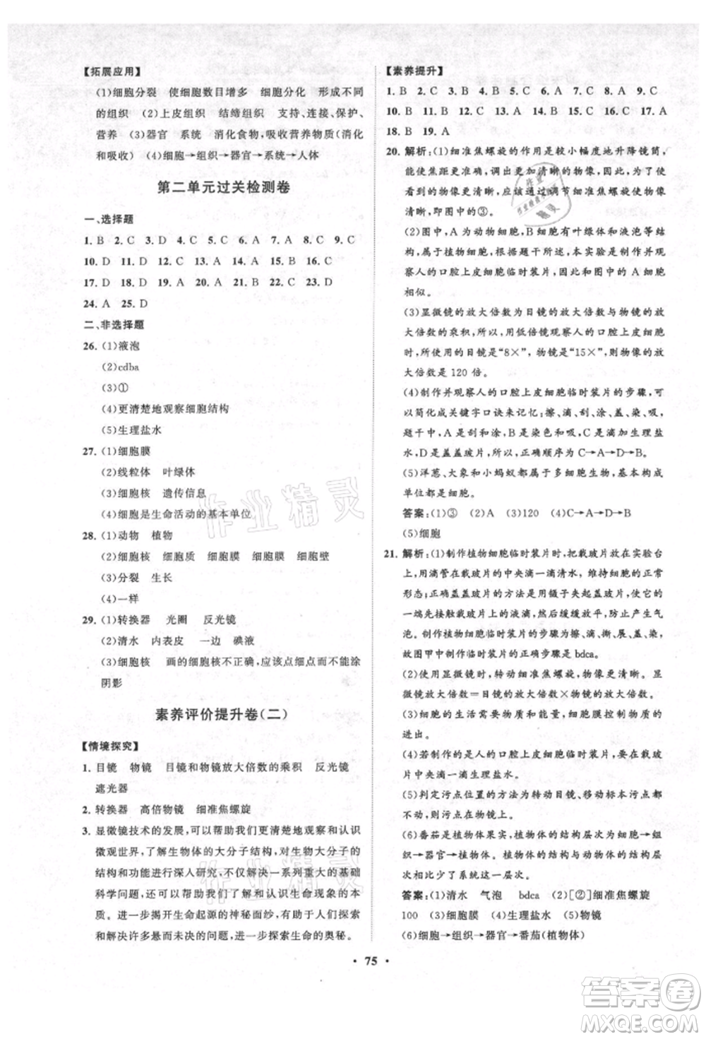 山東教育出版社2021初中同步練習(xí)冊(cè)分層卷五四制六年級(jí)生物上冊(cè)魯科版參考答案