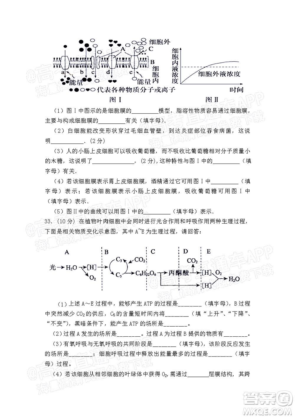 江西省九校2022屆高三上學(xué)期期中聯(lián)考生物試題及答案