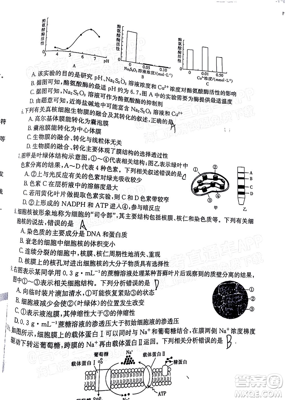 2022屆江西金太陽(yáng)高三12月聯(lián)考生物試題及答案