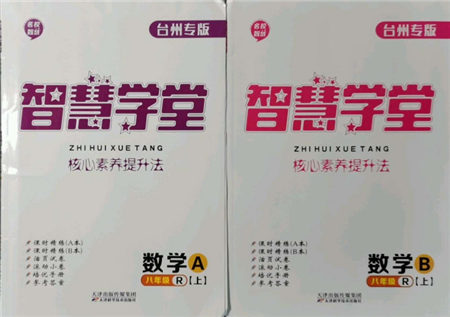 天津科學(xué)技術(shù)出版社2021智慧學(xué)堂核心素養(yǎng)提升法八年級(jí)數(shù)學(xué)上冊(cè)人教版臺(tái)州專版參考答案