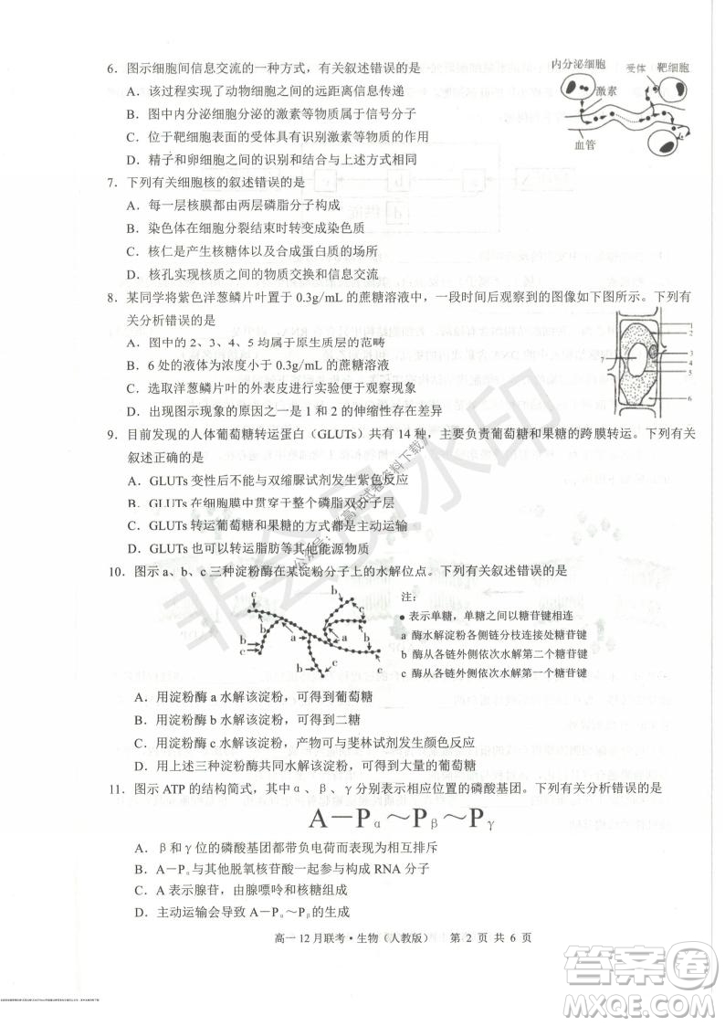 2021年廣西三新學(xué)術(shù)聯(lián)盟高一12月聯(lián)考生物試題及答案