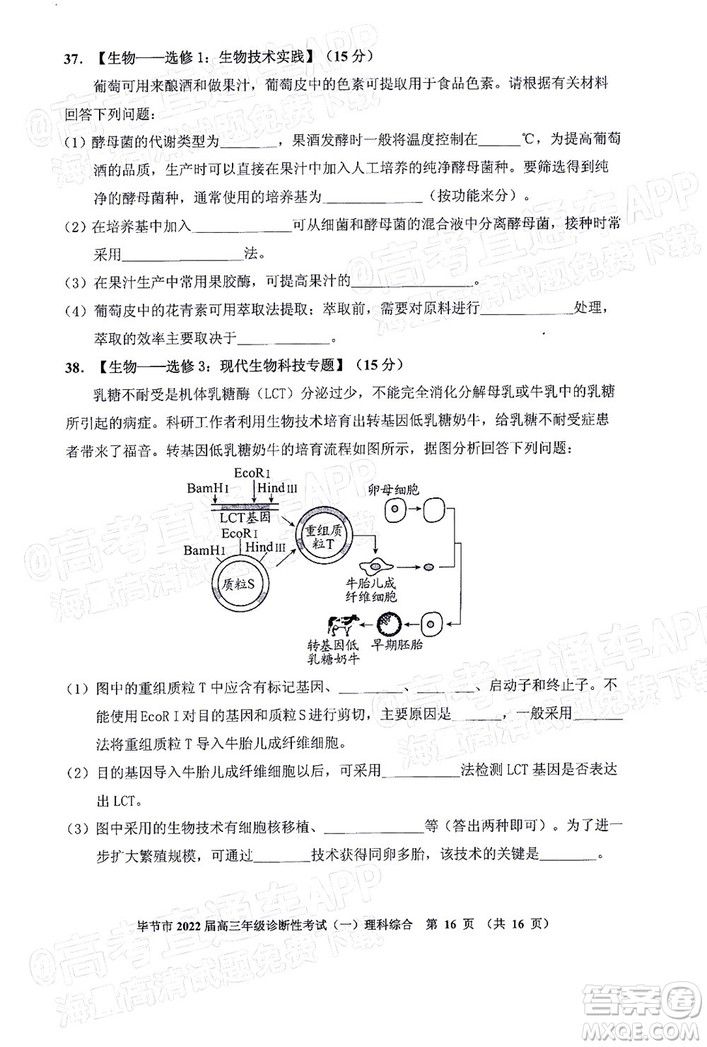 畢節(jié)市2022屆高三年級(jí)診斷性考試一理科綜合試題及答案