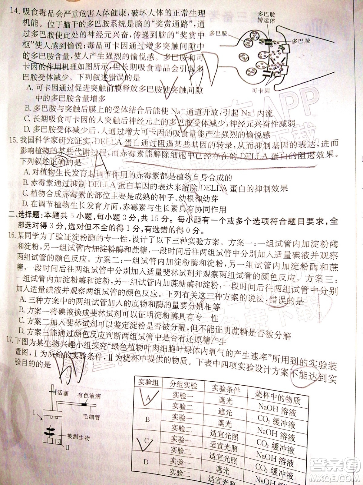 2022屆山東金太陽(yáng)12月聯(lián)考高三生物試題及答案