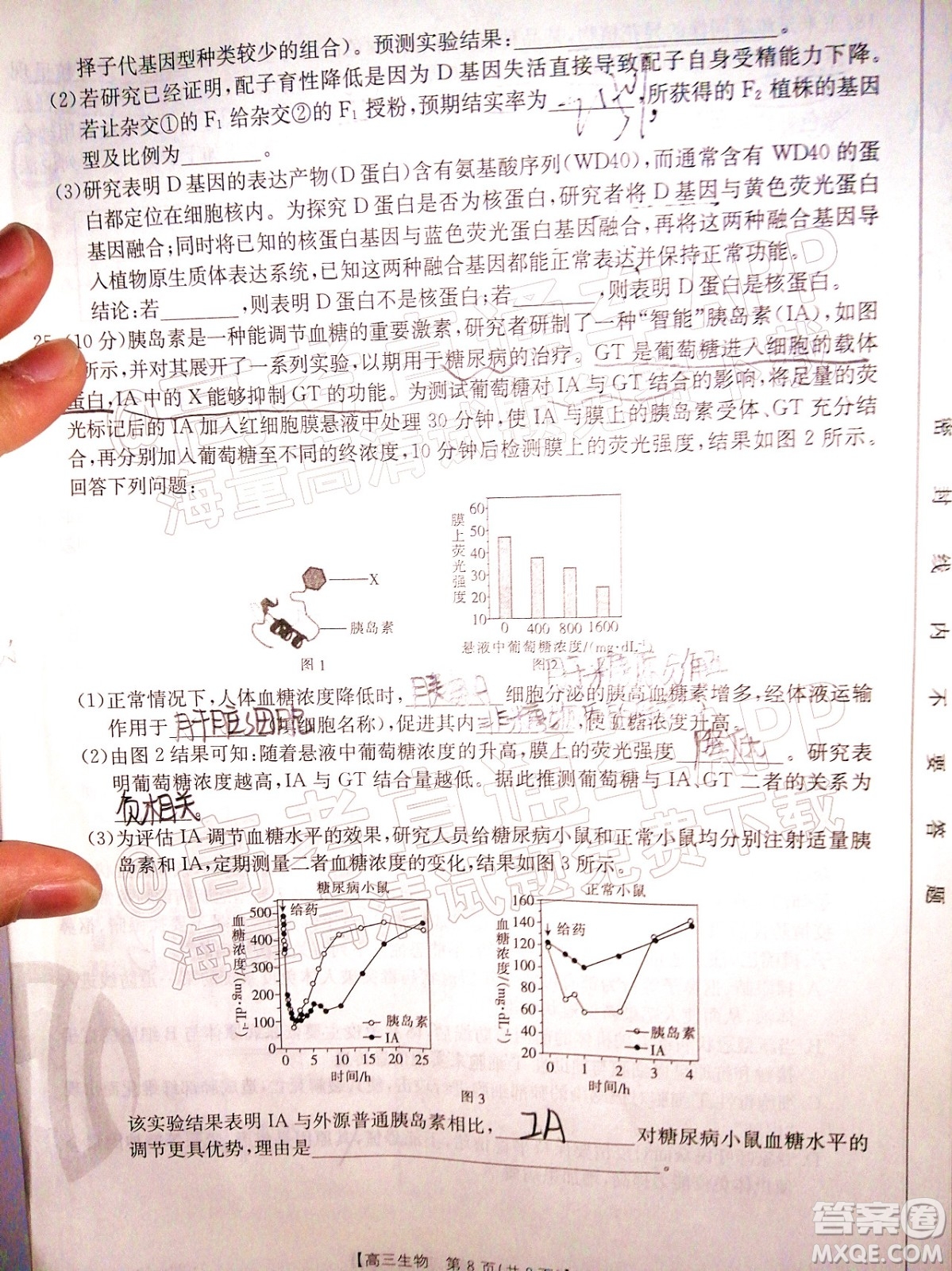 2022屆山東金太陽(yáng)12月聯(lián)考高三生物試題及答案