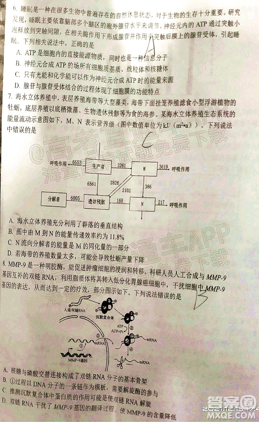 騰云聯(lián)盟2021-2022學(xué)年度上學(xué)期高三12月聯(lián)考生物試題及答案