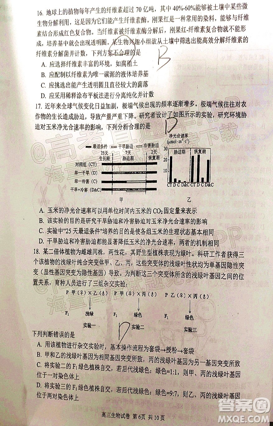 騰云聯(lián)盟2021-2022學(xué)年度上學(xué)期高三12月聯(lián)考生物試題及答案