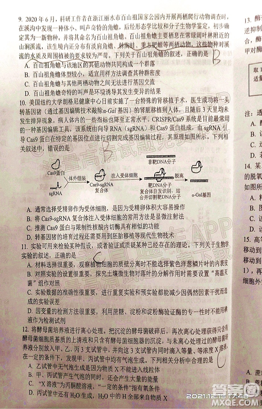 騰云聯(lián)盟2021-2022學(xué)年度上學(xué)期高三12月聯(lián)考生物試題及答案