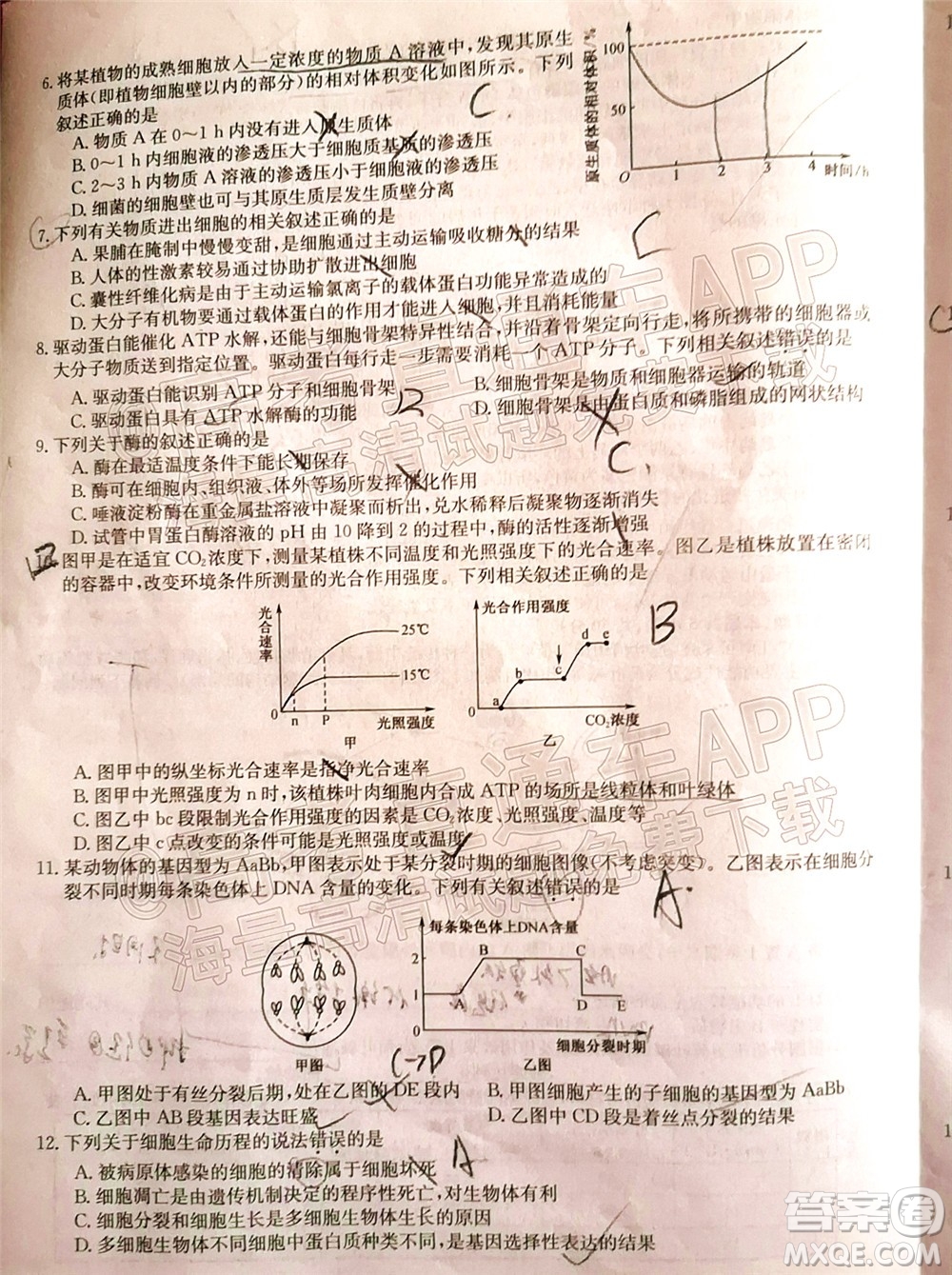 蒙城一中渦陽一中淮南一中懷遠(yuǎn)一中潁上一中2022屆高三第一次五校聯(lián)考生物試題及答案