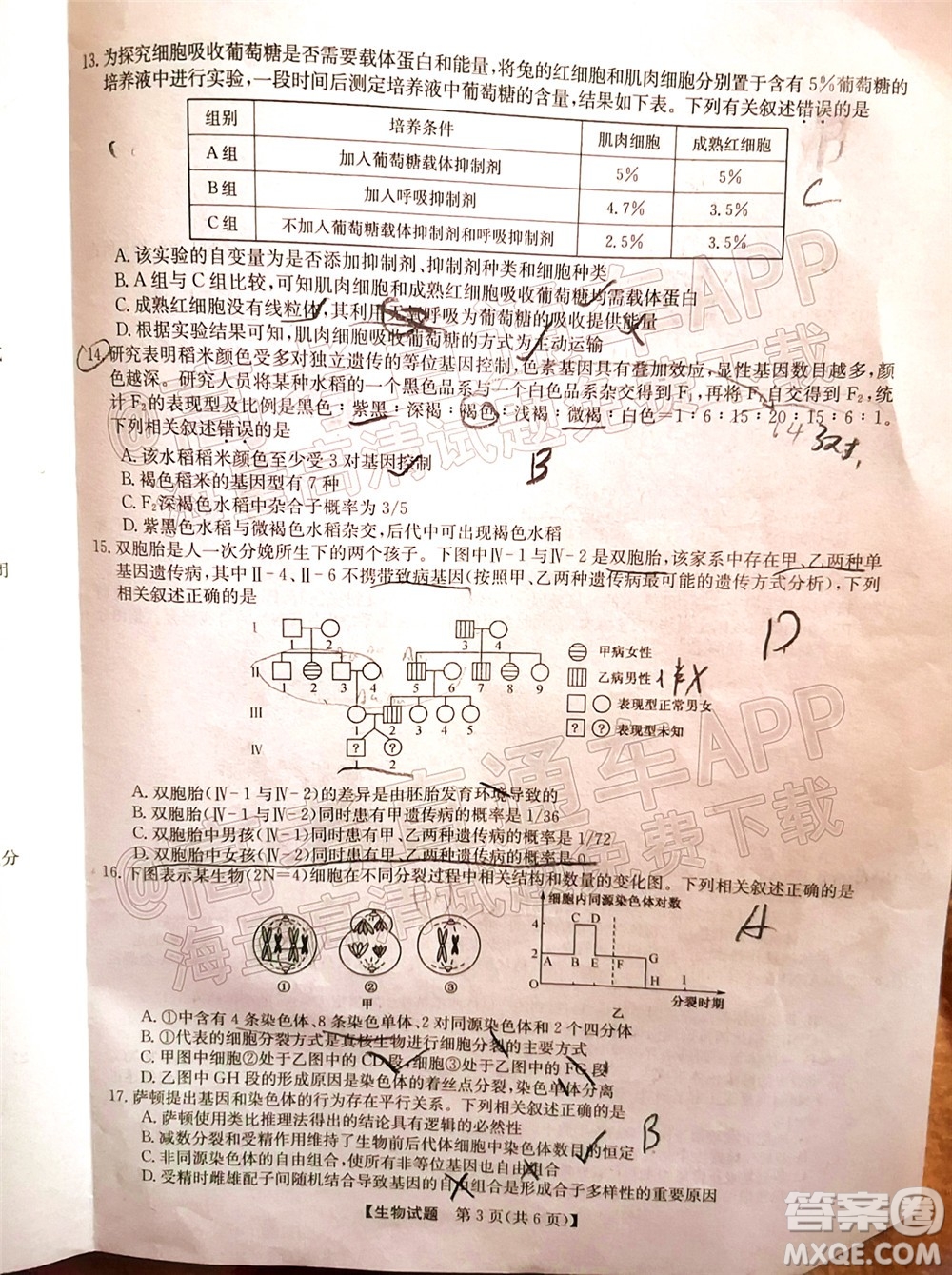 蒙城一中渦陽一中淮南一中懷遠(yuǎn)一中潁上一中2022屆高三第一次五校聯(lián)考生物試題及答案