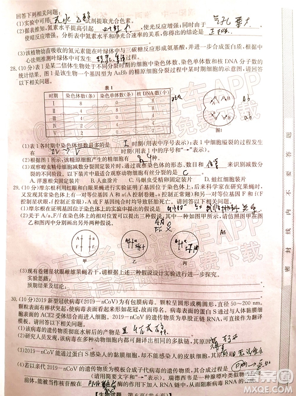 蒙城一中渦陽一中淮南一中懷遠(yuǎn)一中潁上一中2022屆高三第一次五校聯(lián)考生物試題及答案