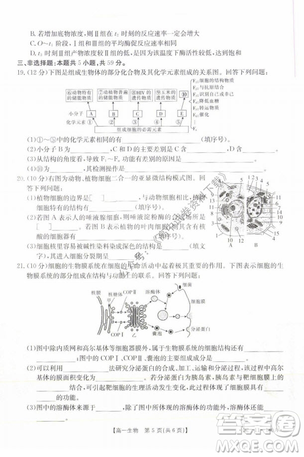 2021年河北金太陽(yáng)高一12月聯(lián)考生物試題及答案