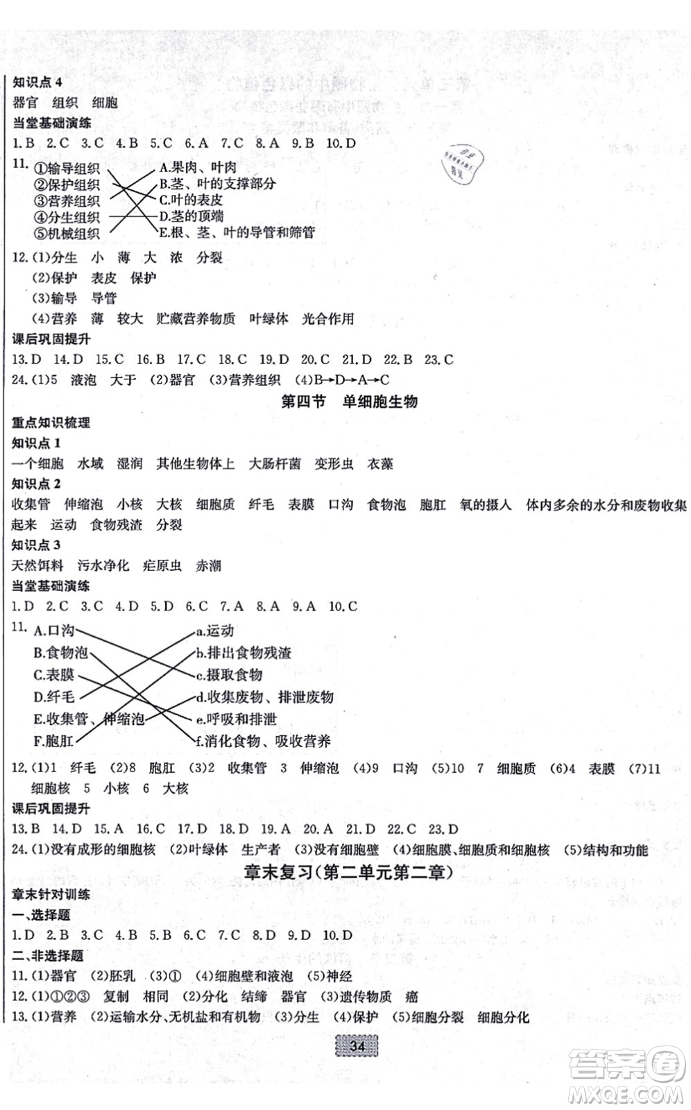 遼寧少年兒童出版社2021練重點(diǎn)七年級(jí)生物上冊(cè)RJ人教版河南專(zhuān)版答案