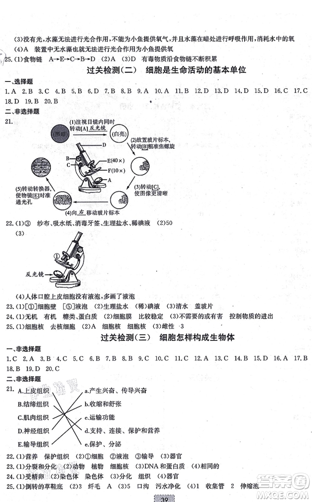 遼寧少年兒童出版社2021練重點(diǎn)七年級(jí)生物上冊(cè)RJ人教版河南專(zhuān)版答案