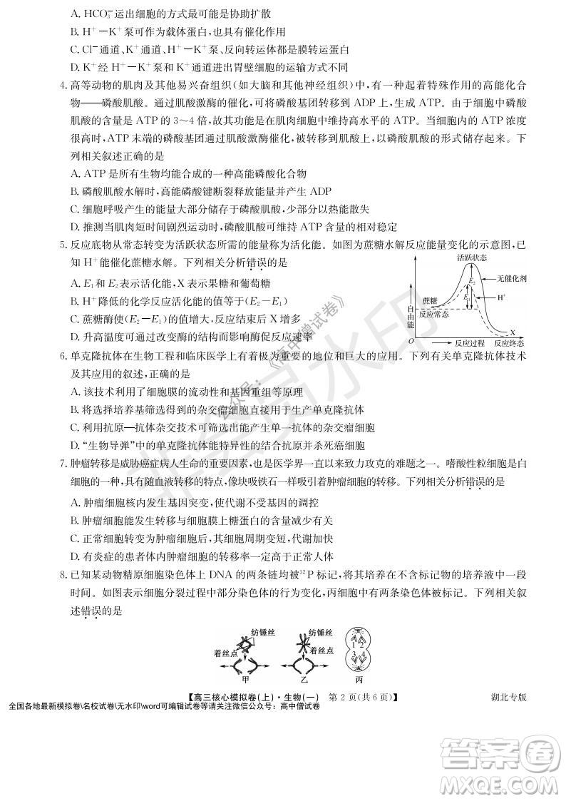 九師聯(lián)盟2022屆新高考高三核心模擬卷上生物一試題及答案