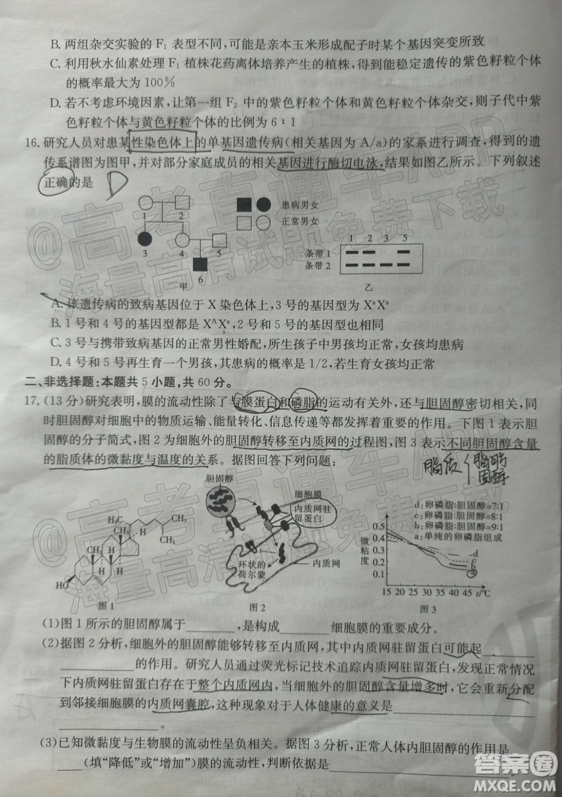 2022屆福建金太陽(yáng)高三12月聯(lián)考生物試題及答案