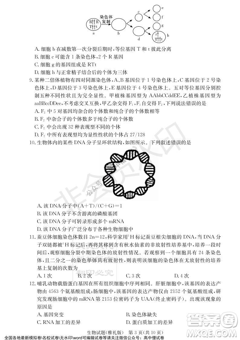 炎德英才大聯(lián)考雅禮中學(xué)2022屆高三月考試卷四生物試題及答案