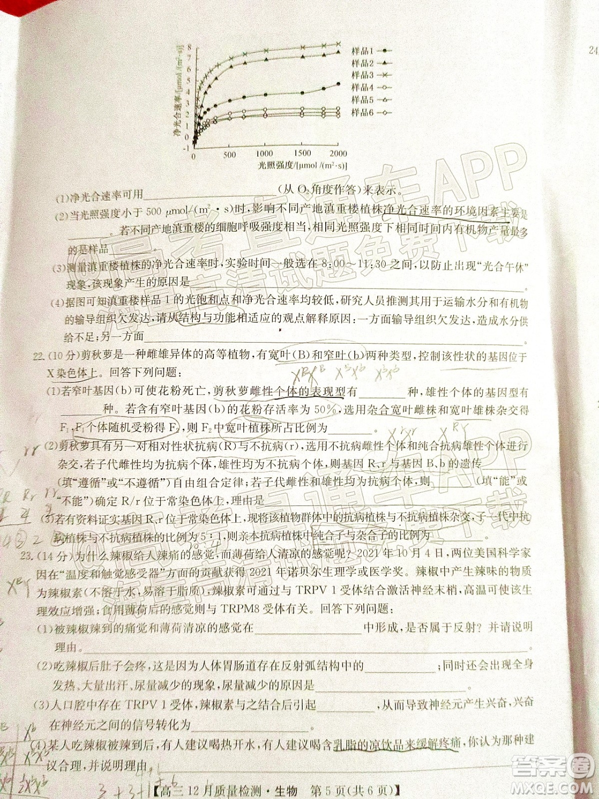 2022屆九師聯盟高三新高考12月質量檢測全國卷生物試題及答案