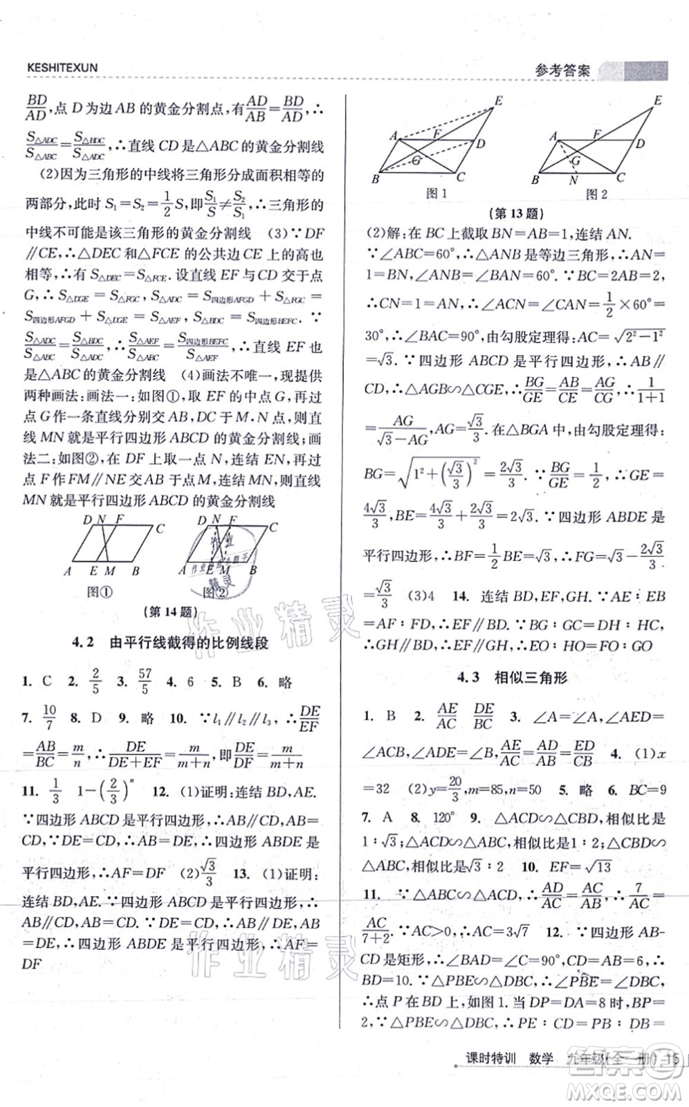 浙江人民出版社2021課時(shí)特訓(xùn)九年級(jí)數(shù)學(xué)全一冊(cè)Z浙教版答案