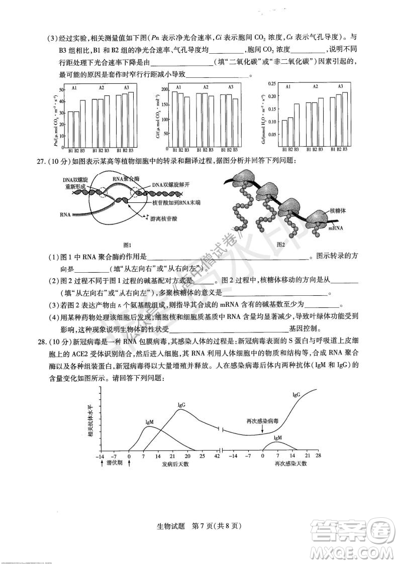 天一大聯考2021-2022學年上高三年級名校聯盟考試生物試題及答案