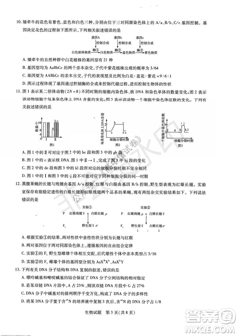 天一大聯考2021-2022學年上高三年級名校聯盟考試生物試題及答案