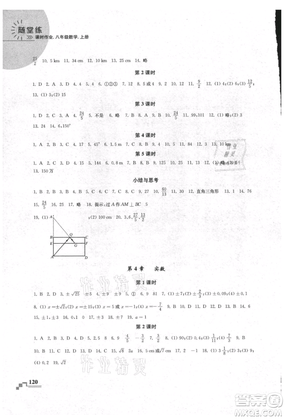 河海大學出版社2021隨堂練課時作業(yè)八年級數(shù)學上冊蘇科版參考答案