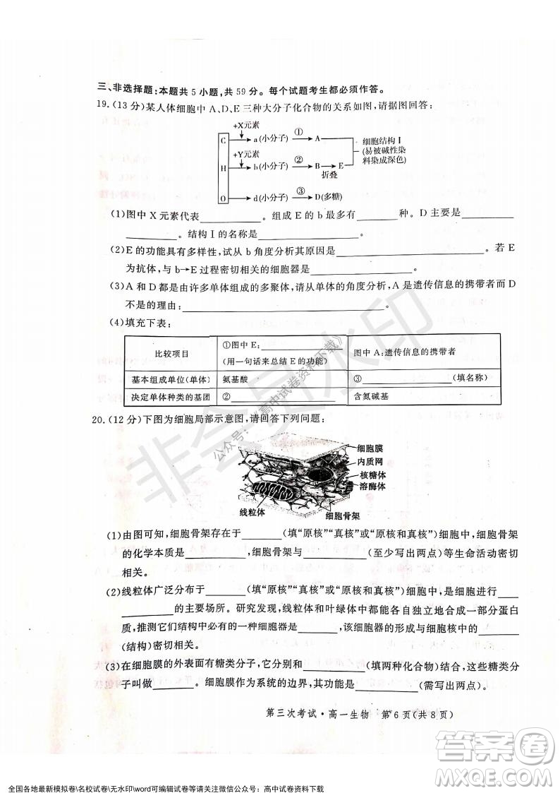 河北部分學校2021-2022上學期第三次月考高一生物試題及答案