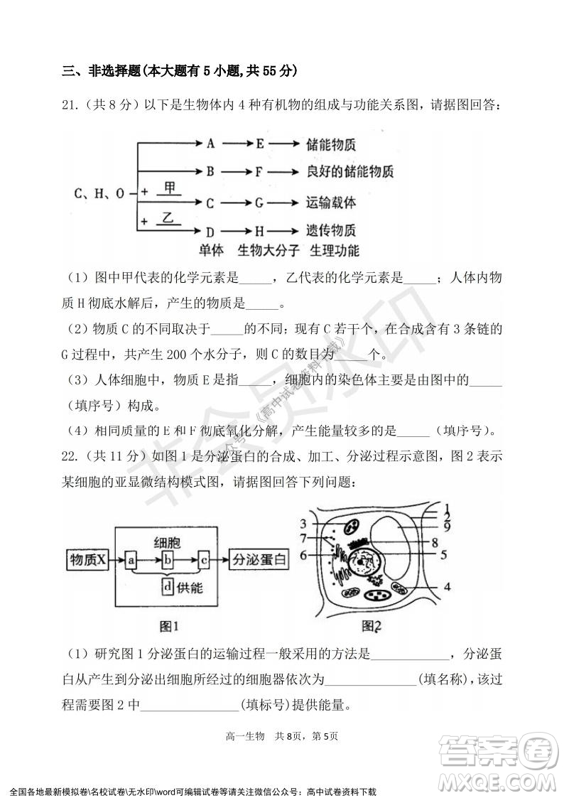 遼寧省2021-2022學(xué)年度上六校協(xié)作體高一第三次考試生物試題及答案