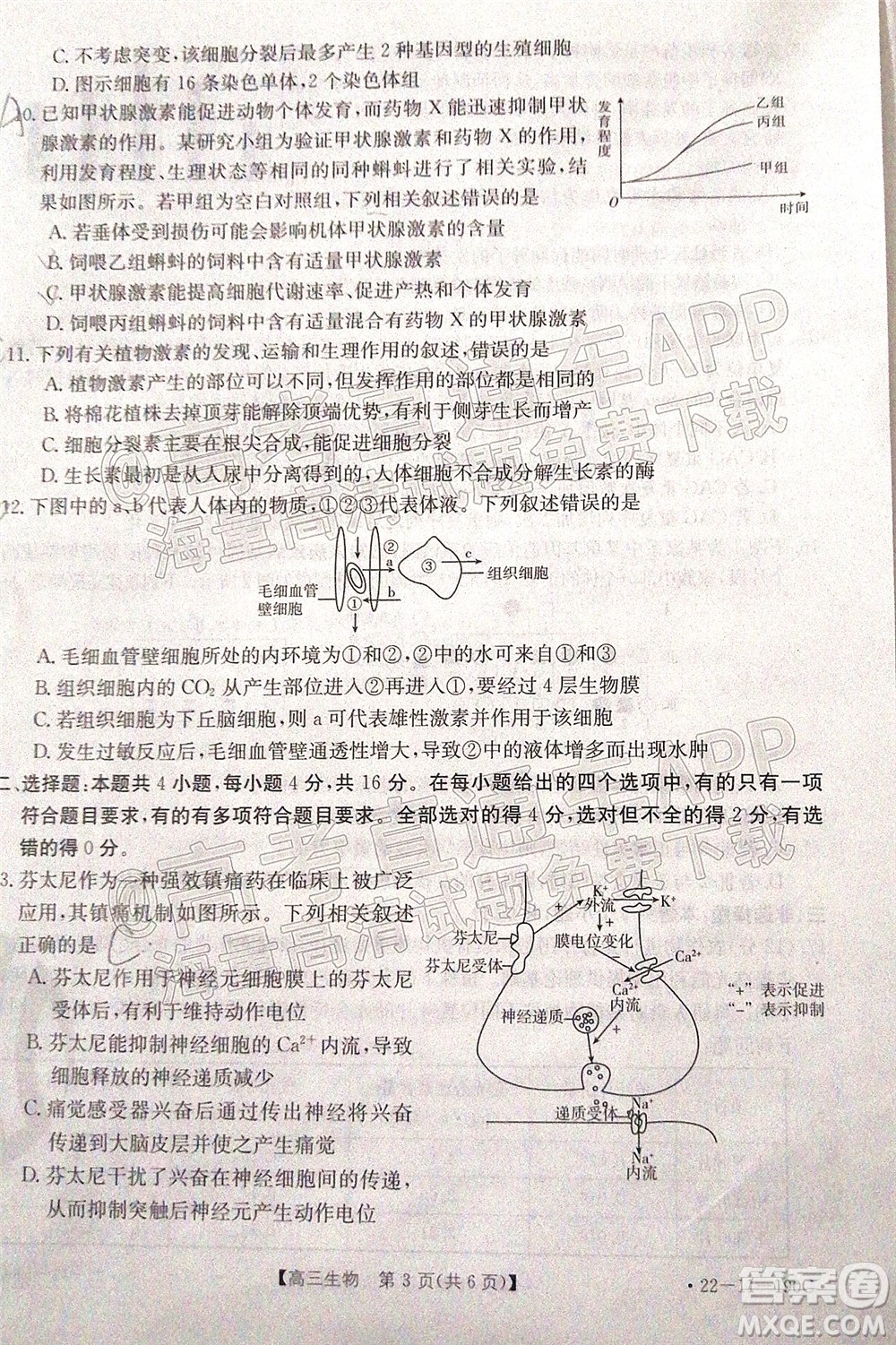 2022屆湖南金太陽高三12月聯(lián)考生物試題及答案