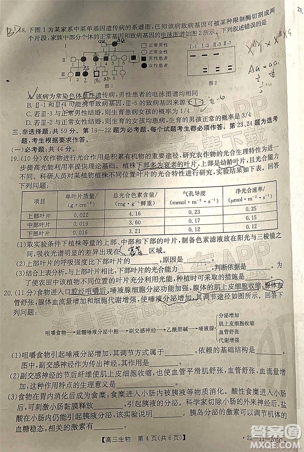 2022屆河北省名校聯(lián)盟高三一輪收官考試生物試題及答案