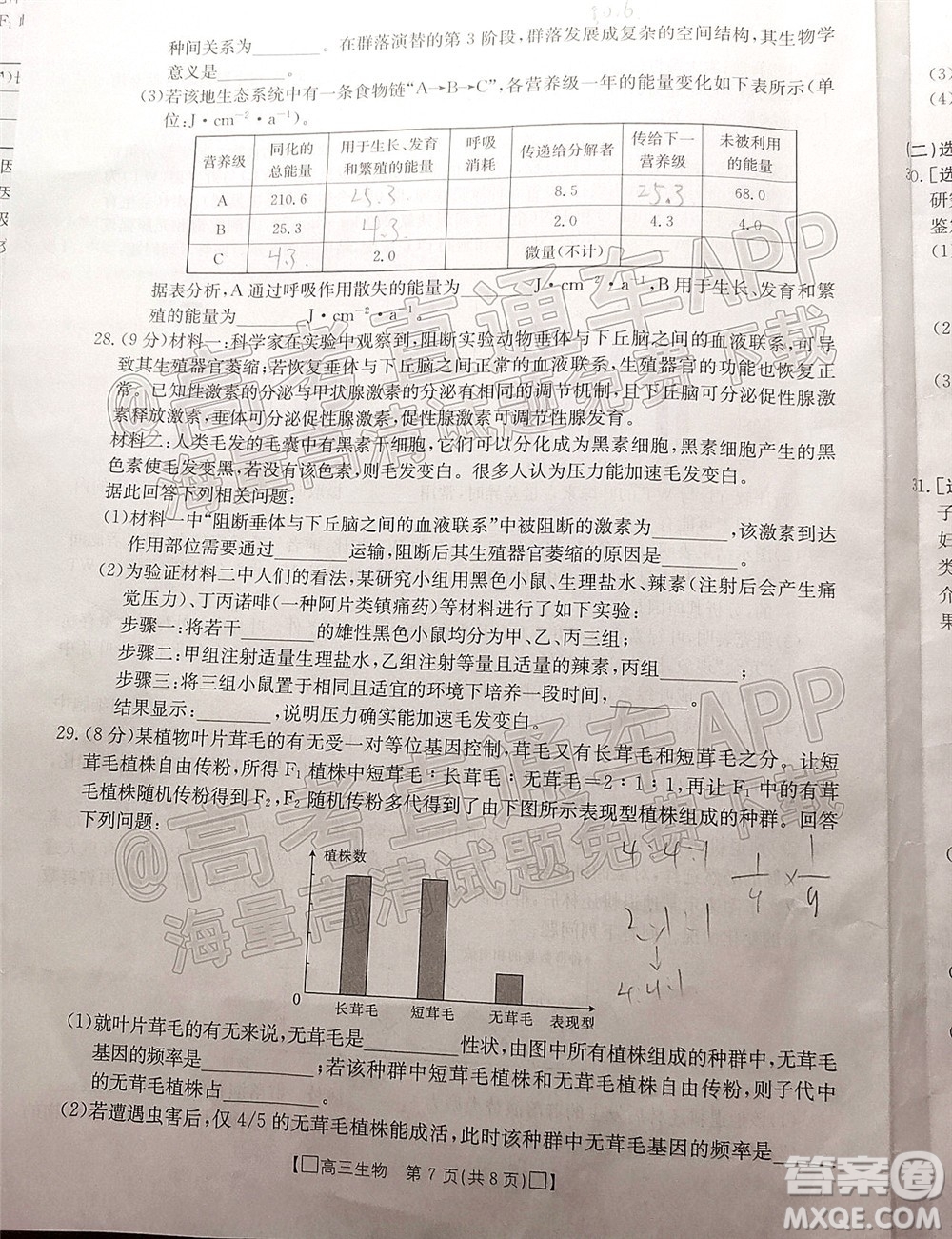 2022屆吉林金太陽高三12月聯(lián)考生物試題及答案