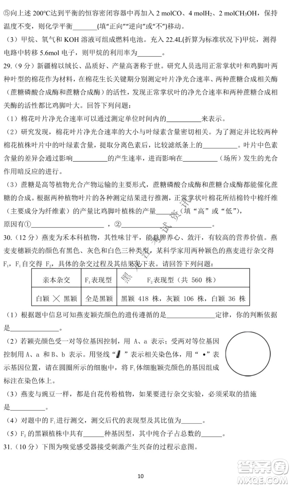 哈爾濱市第一中學(xué)2021-2022學(xué)年度高三上學(xué)期理綜期末試卷及答案