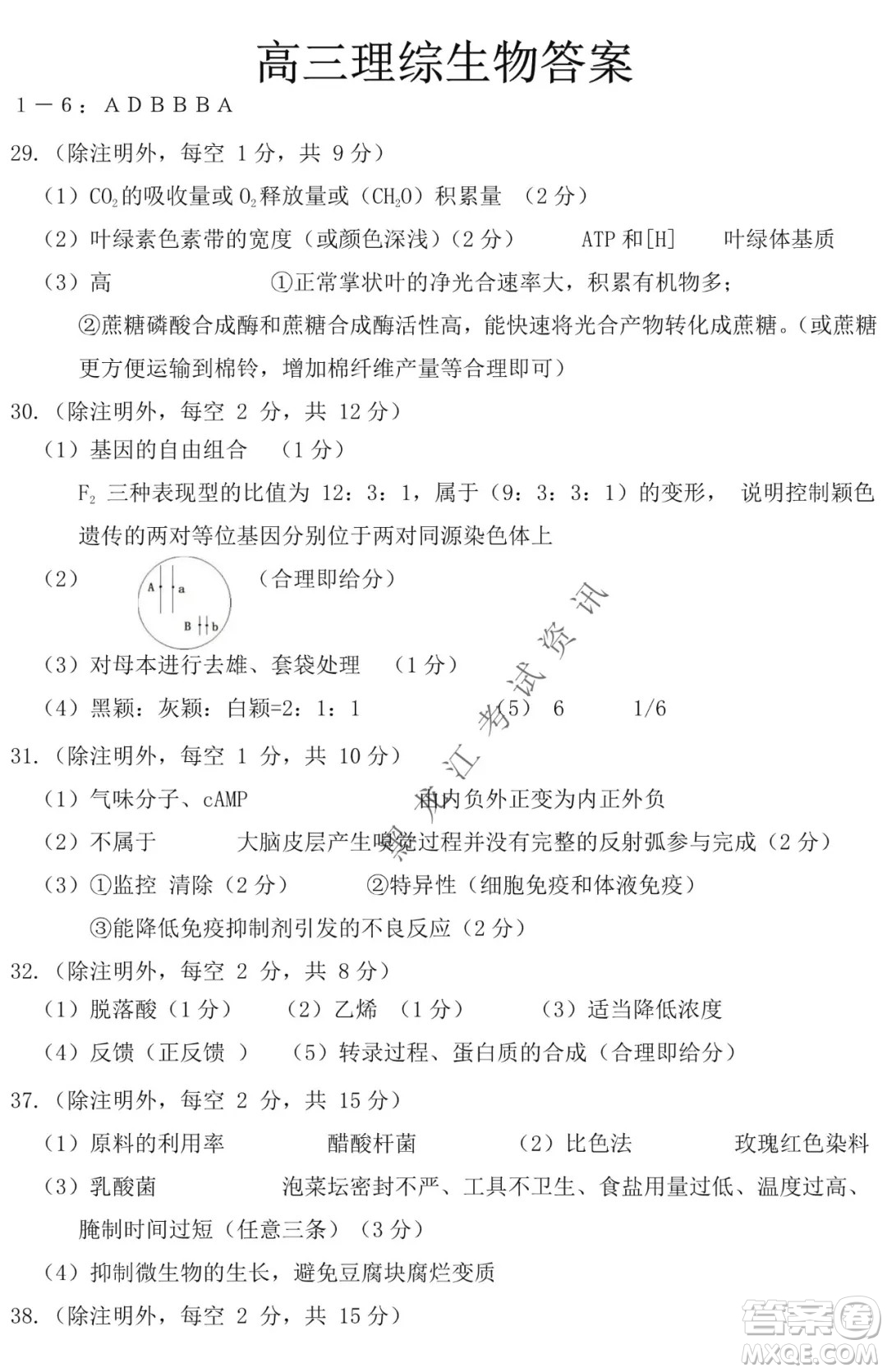 哈爾濱市第一中學(xué)2021-2022學(xué)年度高三上學(xué)期理綜期末試卷及答案