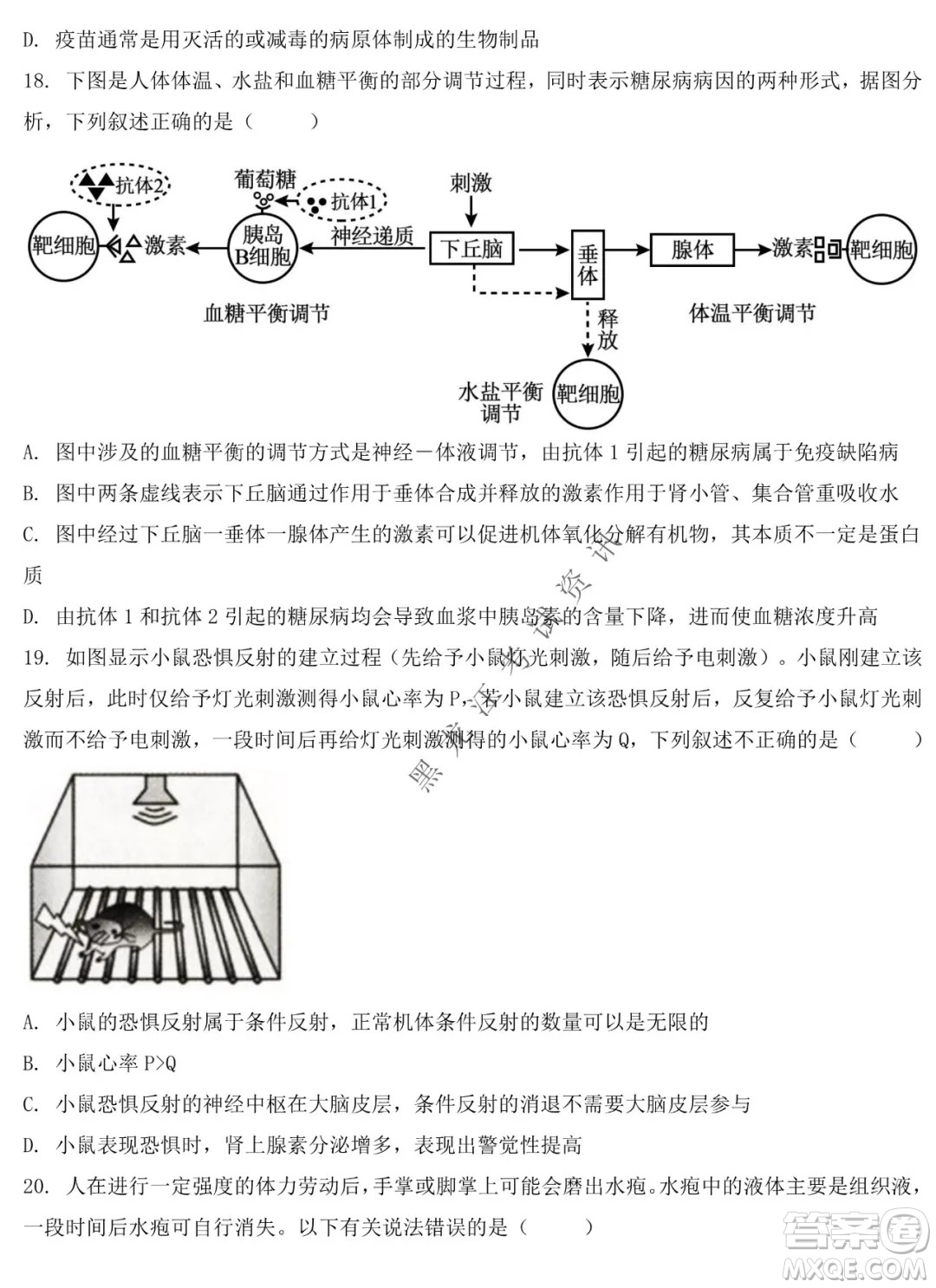 鐵人中學(xué)2020級高二學(xué)年上學(xué)期期末考試生物試題及答案