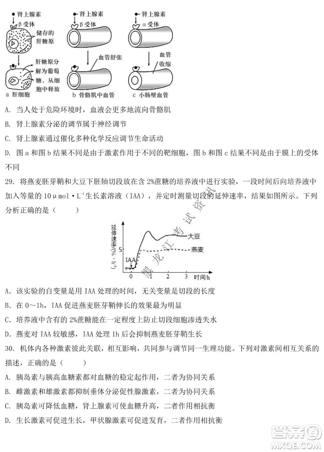 鐵人中學(xué)2020級高二學(xué)年上學(xué)期期末考試生物試題及答案