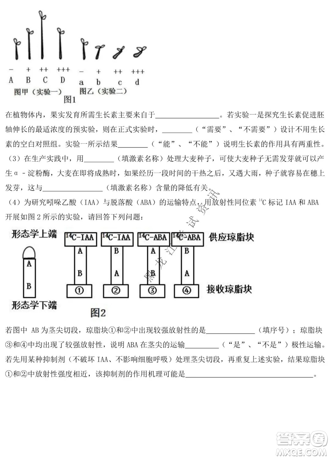 鐵人中學(xué)2020級高二學(xué)年上學(xué)期期末考試生物試題及答案