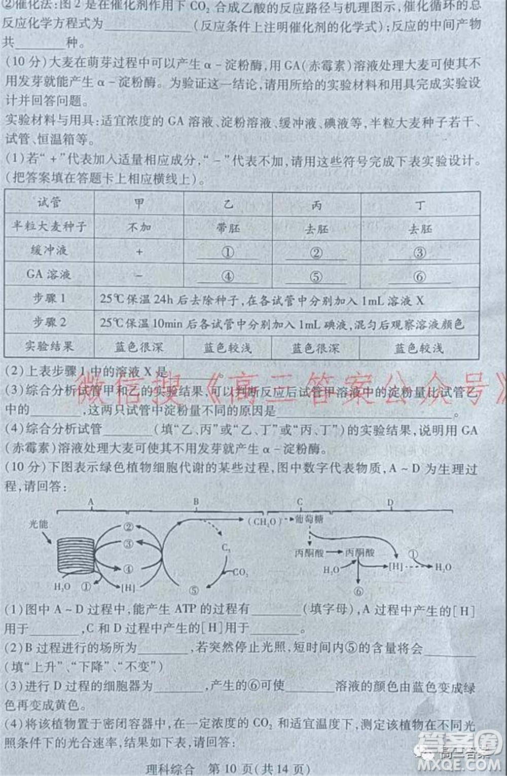 2022年寶雞市高考模擬檢測一理科綜合試題及答案