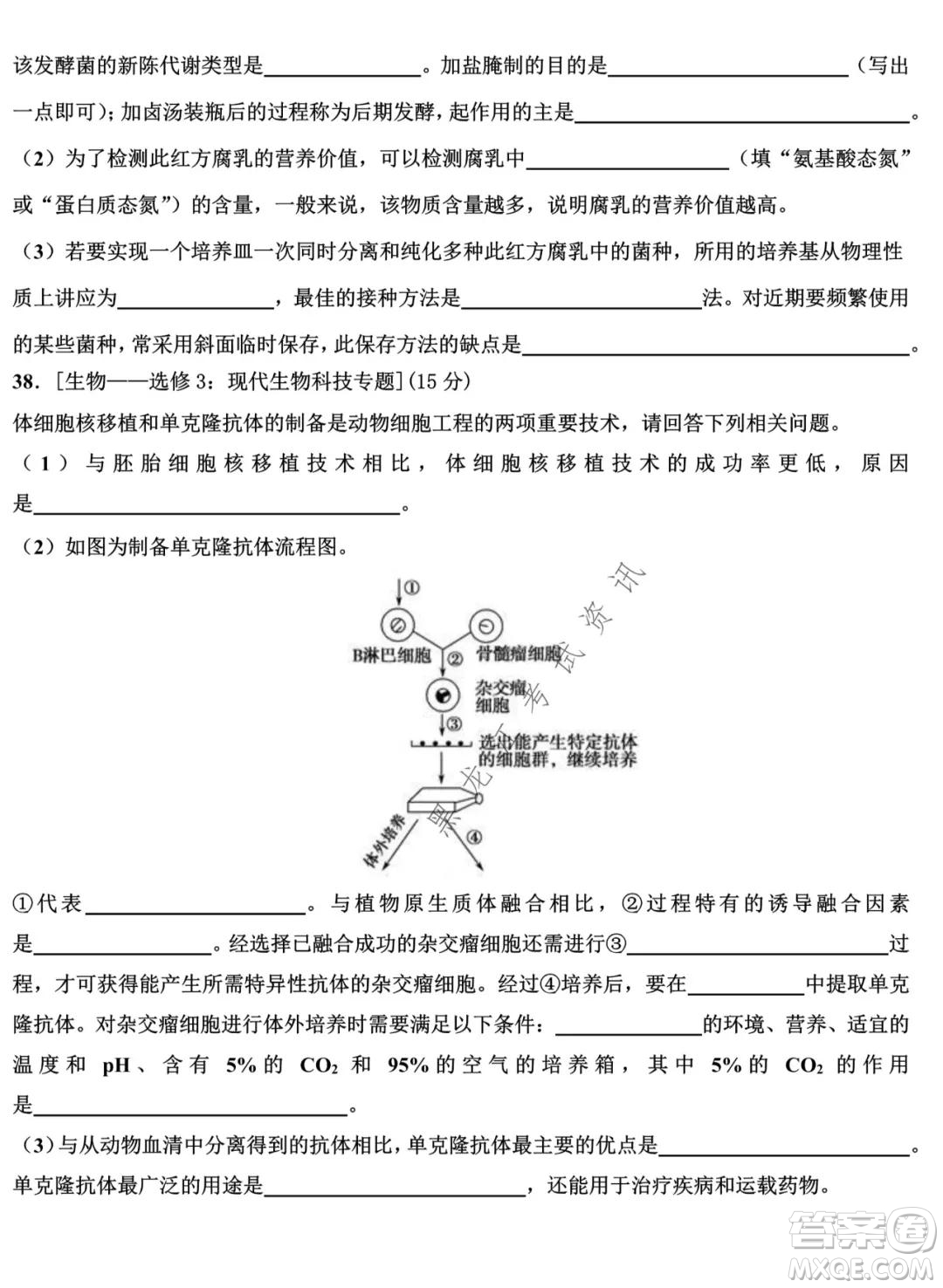 哈師大附中2021-2022學(xué)年度高三上學(xué)期期末考試?yán)砜凭C合試題及答案