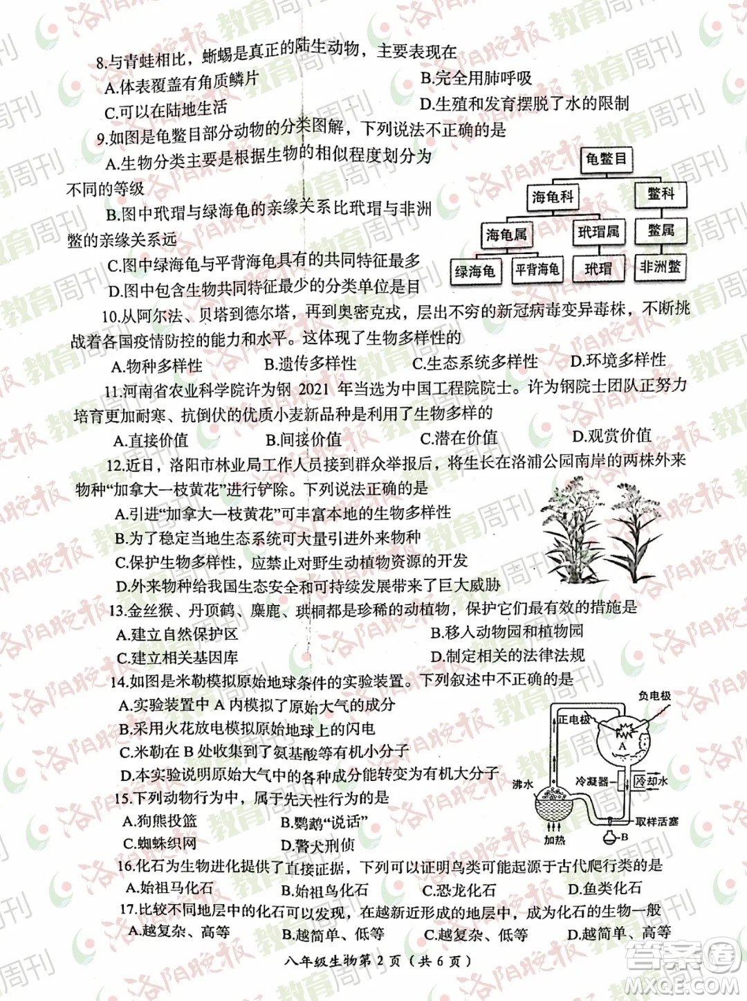 洛陽(yáng)市2021-2022學(xué)年第一學(xué)期期末考試八年級(jí)生物試題及答案