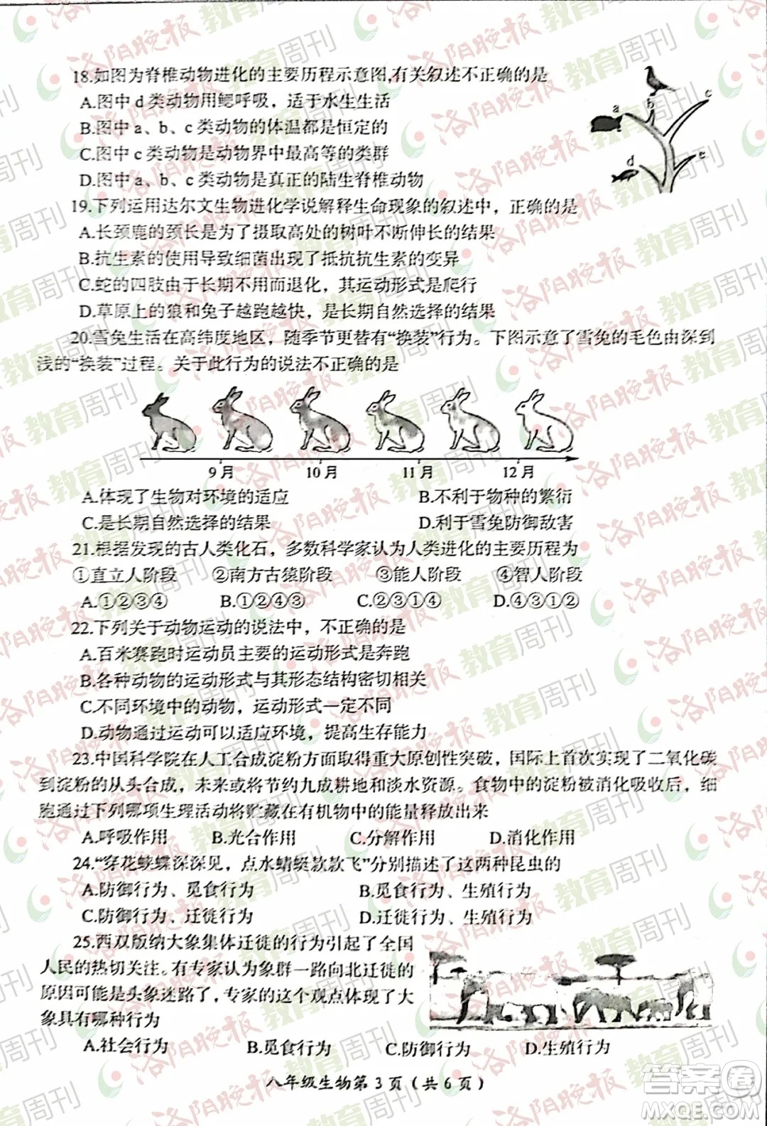 洛陽(yáng)市2021-2022學(xué)年第一學(xué)期期末考試八年級(jí)生物試題及答案