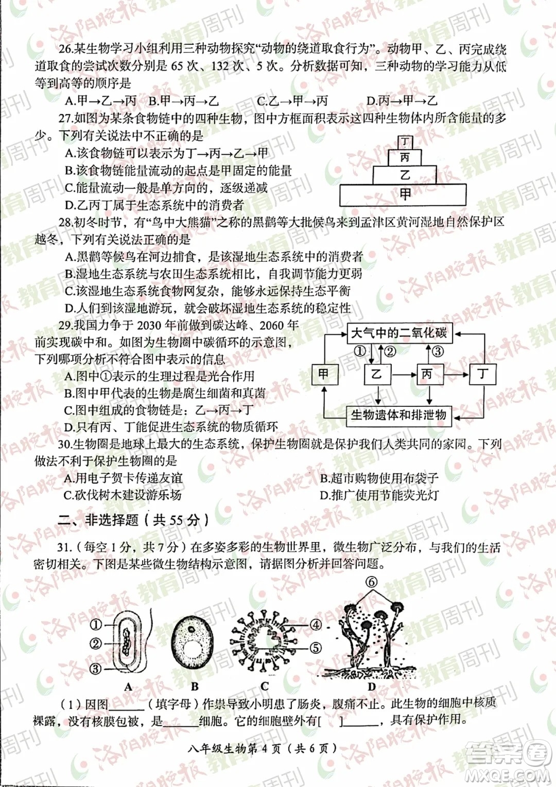 洛陽(yáng)市2021-2022學(xué)年第一學(xué)期期末考試八年級(jí)生物試題及答案